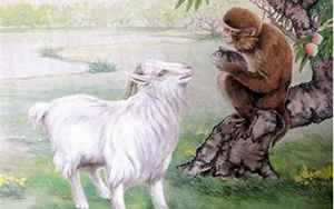 羊男和猴女的婚姻状况
