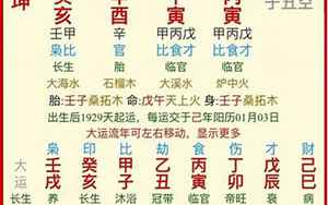 高学历八字实例