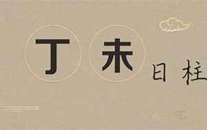 丁未丁未癸丑八字