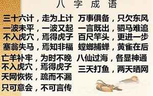 带八字成语大全