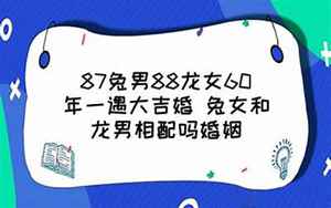 87兔男88龙女60年一遇