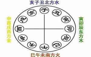 一个人的八字地支三会局合六合