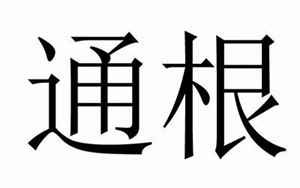 八字中根和气的区别