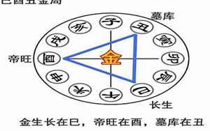 八字年月地支酉巳