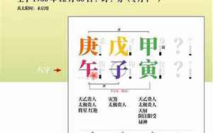 屠呦呦生辰八字赏析