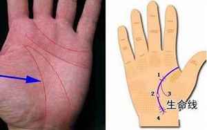 手掌生命线短命就短吗