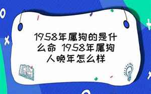 1958年属狗人晚年怎么样