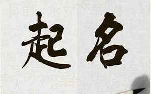 生成八字含义