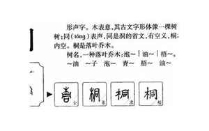 桐字取名的寓意