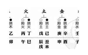 八字算长相