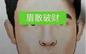 发财眉毛