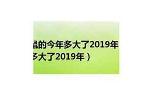 属老鼠的2021年今年多大