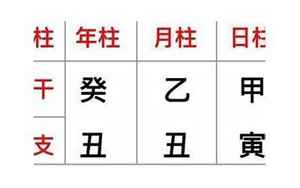 八字和四柱的区别