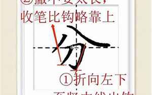 八字底的字