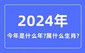 2024年是什么命