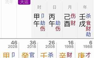 名人生辰八字案例