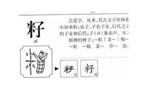 籽字取名的寓意是什么