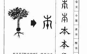 本字五行属什么