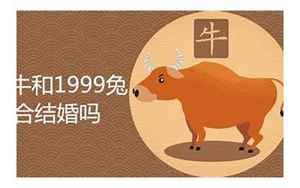 1997牛和1999兔相配吗