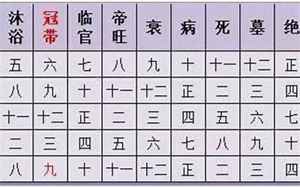 合八字是农历还是阳历