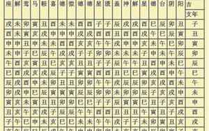 八字中的所有神煞