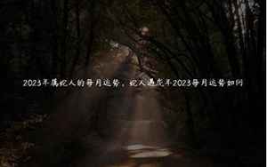 蛇人遇虎年2022每月运势如何