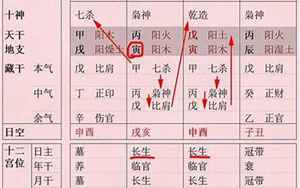 八字中月干月支看什么