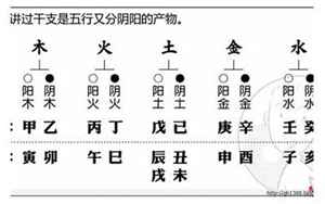 羊刃格名人八字