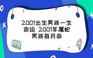 2001年属蛇男孩的命运