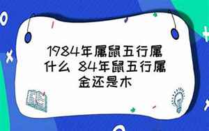 1984年属鼠五行属什么