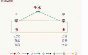 丙申年辛丑月择八字