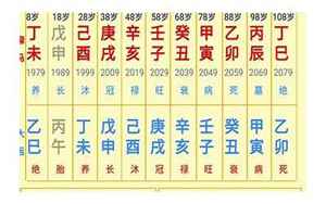 苏氏八字(苏氏盲派八字排盘)