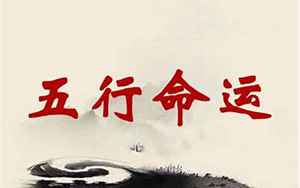 1991年7月18日19点10分生辰八字(91年7月18日是什么命)