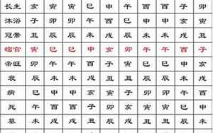 八字有两个甲什么意思(八字带两个甲好吗)