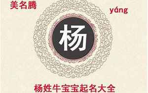 姓杨的男宝宝名字大全(姓杨的有哪些男孩子名字好听)