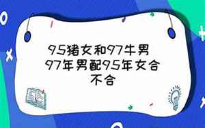 95猪女和97牛男(97年男牛和95年猪女相配吗)