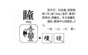 瞳字五行属什么(瞳字起名的寓意)