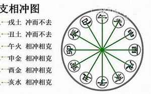 八字里的时间戌和巳(巳在八字中多见好不好)