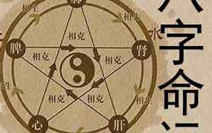 1995年11月11日八字(1995年11月11日出生的人命运如何)