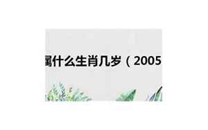 2005年属什么生肖属相(2005年出生的人属什么)