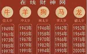 一九九九年属相(一九九九年属什么生肖)