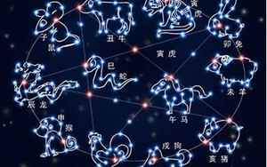 二月十一日(二月十一日是什么星座)