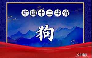 属狗的幸运数字是多少(属狗的吉祥数字是什么)