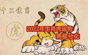 2022年生肖虎运势大全(生肖属虎2022运势大全)