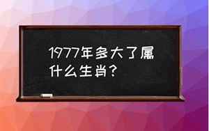 1977年多大(1977年出生属什么生肖)