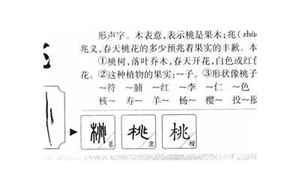 桃字五行属什么(桃字取名寓意和含义)