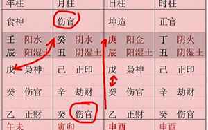 金水伤官的八字(八字上什么是金水伤官)