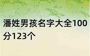 潘姓男孩100分名字大全(姓潘100分男孩的名字)