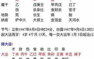 丁酉壬寅丁卯己已八字(农历2017年正月25日早上9点52分生)