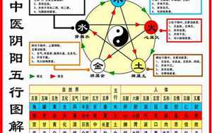 姓名五行分析(如何看姓名的五行)